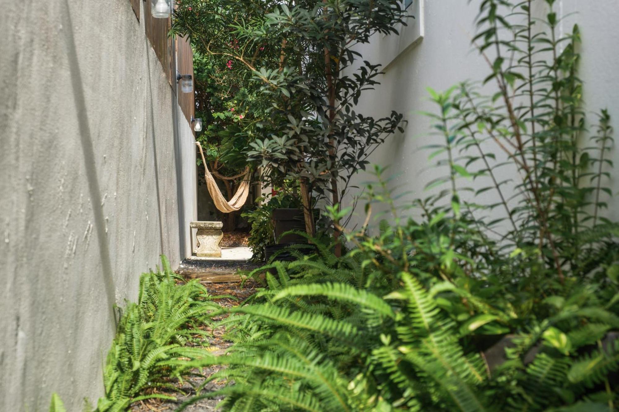 Dream Beach House by Sonsoleá Host Luquillo Exterior foto